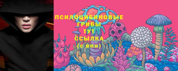 спиды Баксан