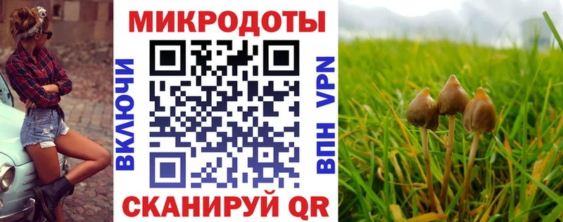 Галлюциногенные грибы Psilocybine cubensis Белая Холуница